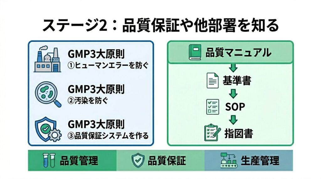 ステージ2:品質保証や他部署を知る
